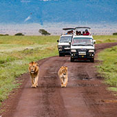Destination